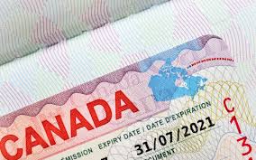 Fastest Way to Get Vietnam Visa and Document Requirements for EVISA