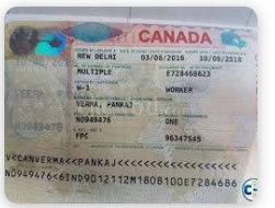 A Complete Guide to Applying for a Canada Visa for Solomon Islands Citizens